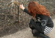 15 Février: un écureuil à Centr… Hyde Park