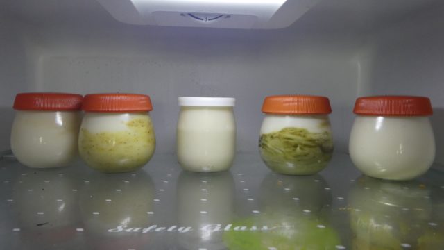 18 mars: yaourts vegan maison!