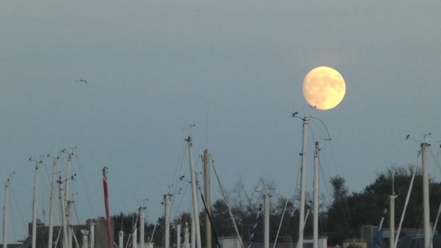 13 Novembre: la lune, encore, toujours et à jamais